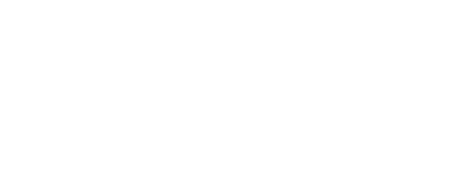 ślubne witryny